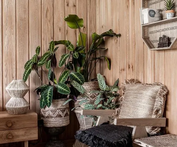 Appartement Ethnica & Gallery *