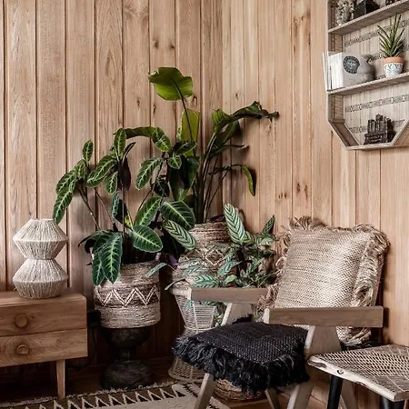 Apartmán Ethnica & Gallery *